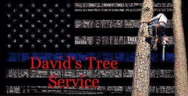 David's Tree Service